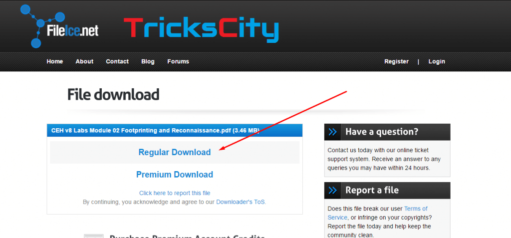 fileice-survey-bypass-trick