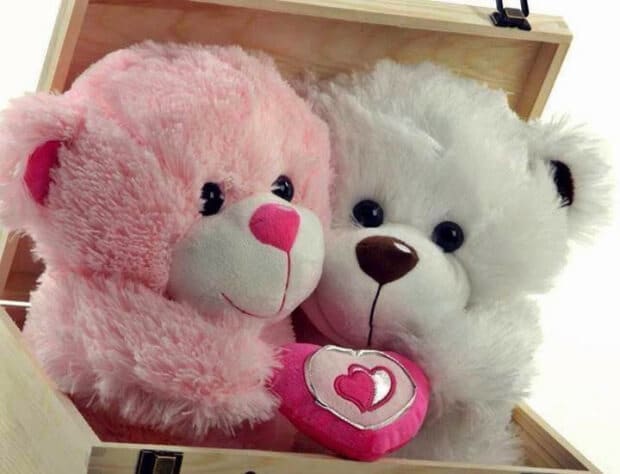 Cute Teddy Bear DP cute-teddy-bear-dp-for-whatsapp-fb