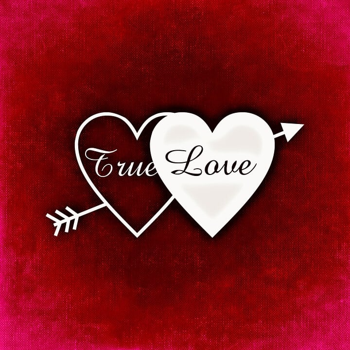 download examples of true love download examples of true love