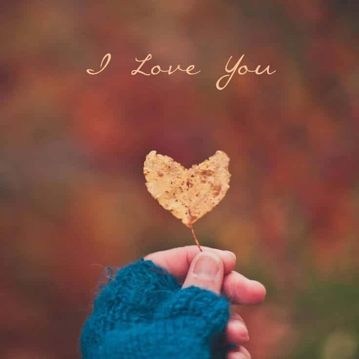 Love Dp Romantic Couple Whatsapp Dp Profile Pics For Fb 21 Love Dp Romantic Couple Whatsapp Dp Profile Pics For Fb 21