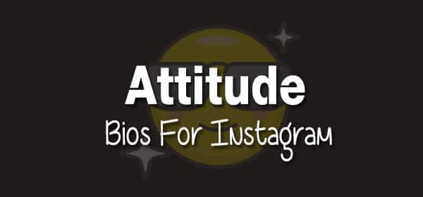 500 Best Bios For Instagram Cool Attitude Cute Funny Insta Bio